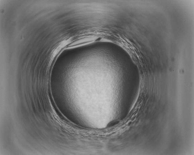 X0000087350003200704201134