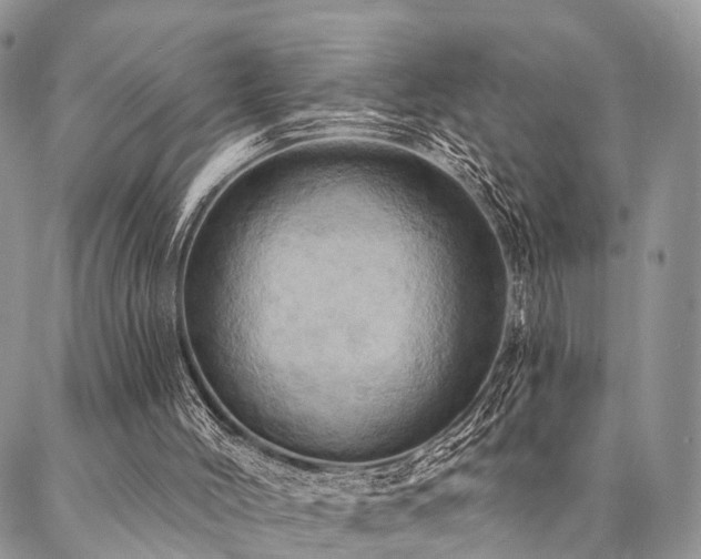 X0000087350004200704201134