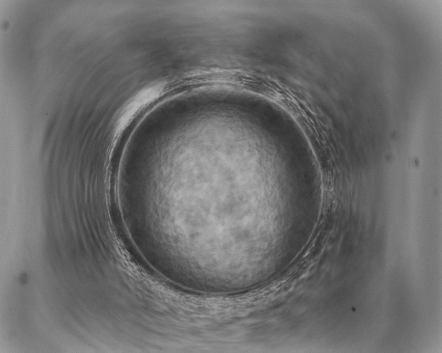 X0000087350006200704201134