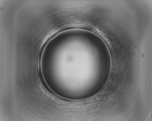 X0000087350011200704201134