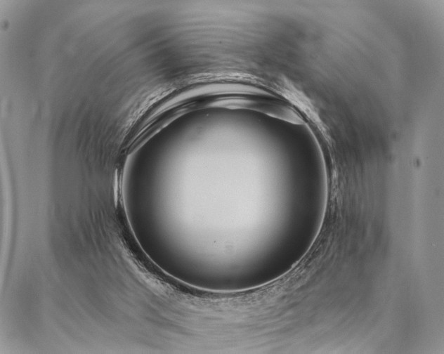 X0000087350013200704201133