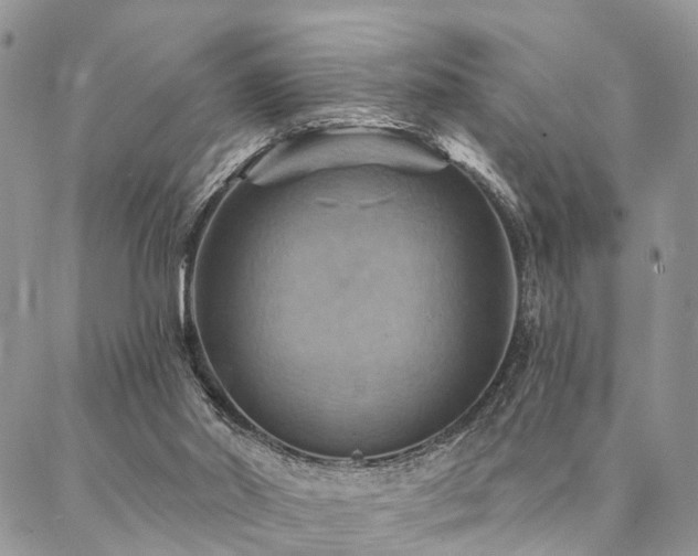 X0000087350014200704201133