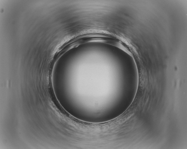 X0000087350015200704201133