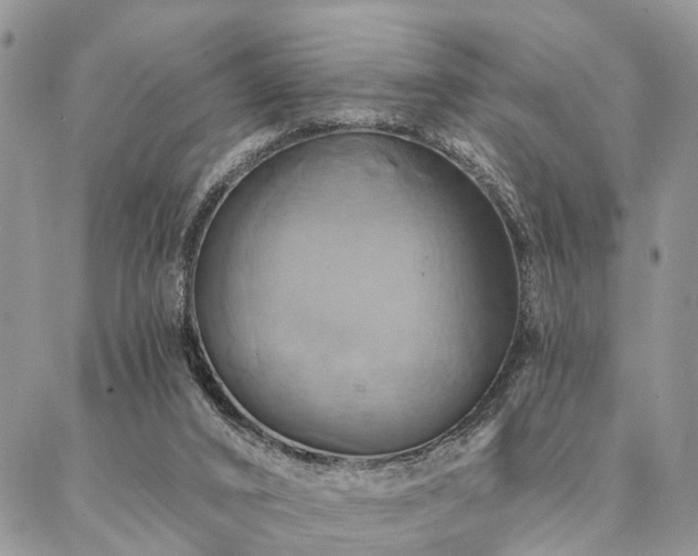 X0000087350016200704201133