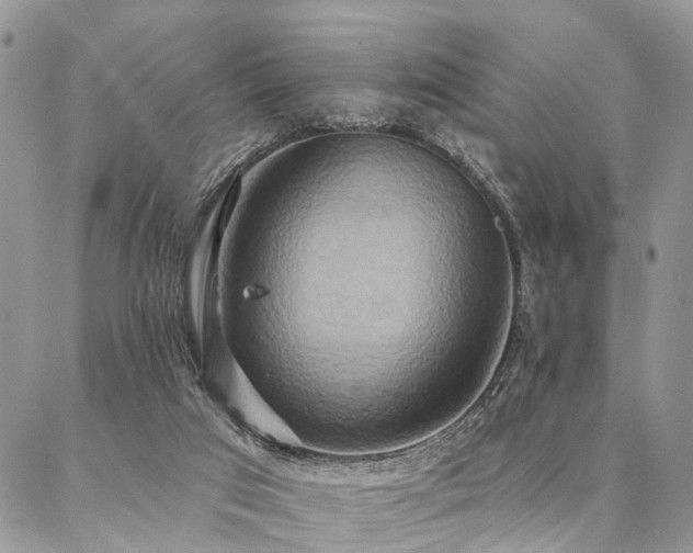 X0000087350017200704201133
