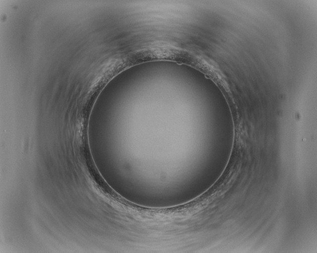 X0000087350018200704201133