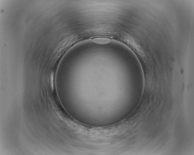 X0000087350022200704201133