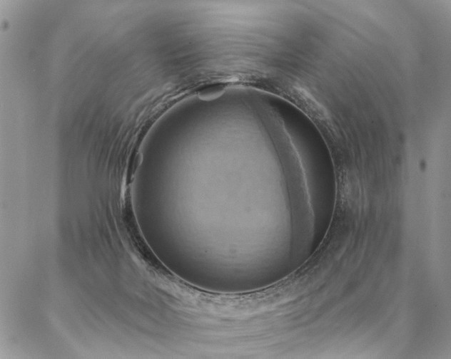 X0000087350026200704201133