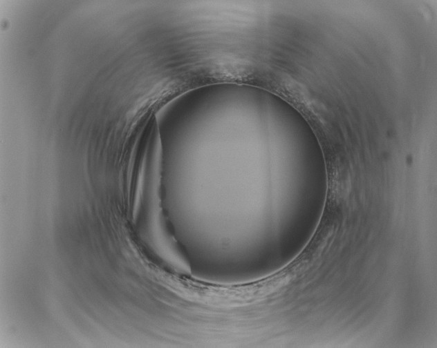 X0000087350027200704201133