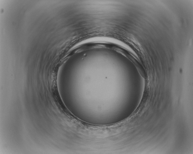 X0000087350029200704201133
