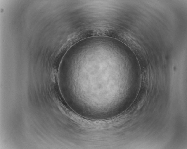 X0000087350038200704201133