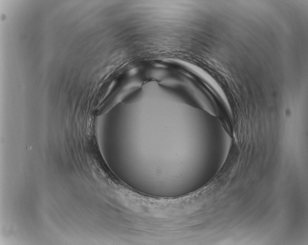 X0000087350039200704201133