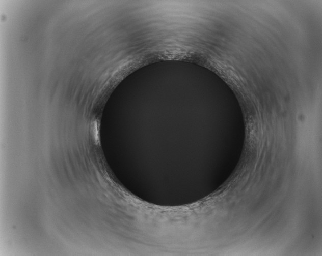 X0000087350042200704201133