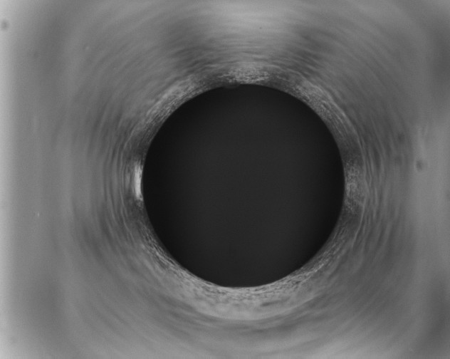 X0000087350046200704201133