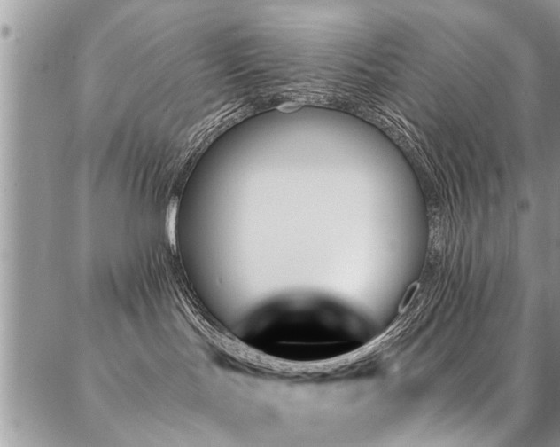 X0000087350047200704201133