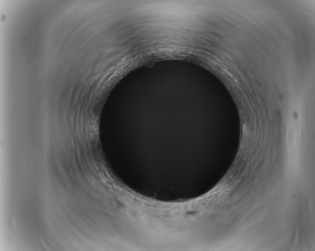 X0000087350048200704201133