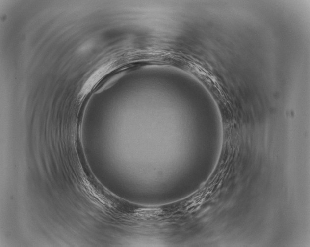 X0000087350051200704201132