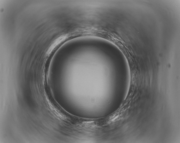 X0000087350054200704201132