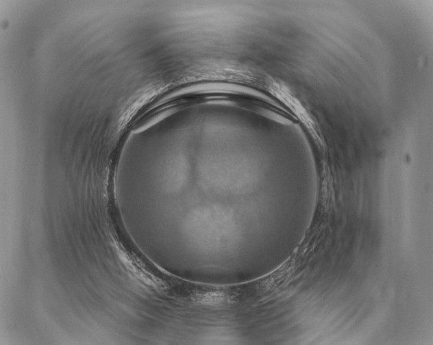 X0000087350058200704201132