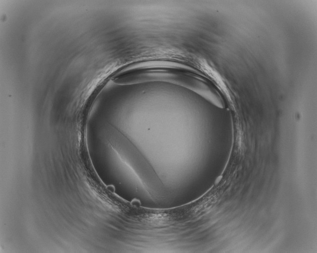X0000087350059200704201132