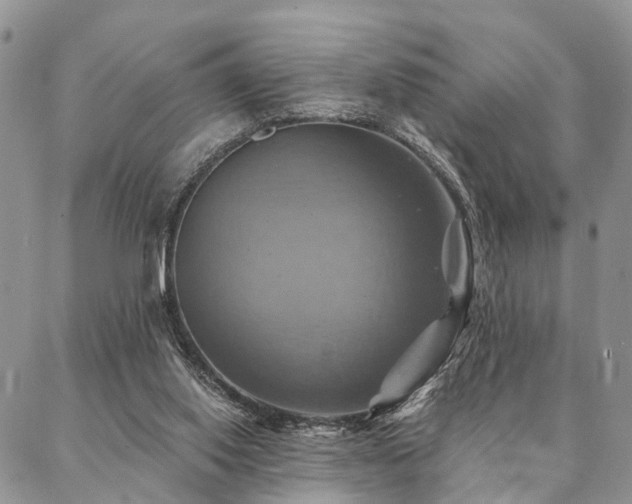 X0000087350062200704201132