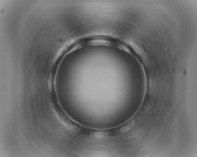 X0000087350064200704201132