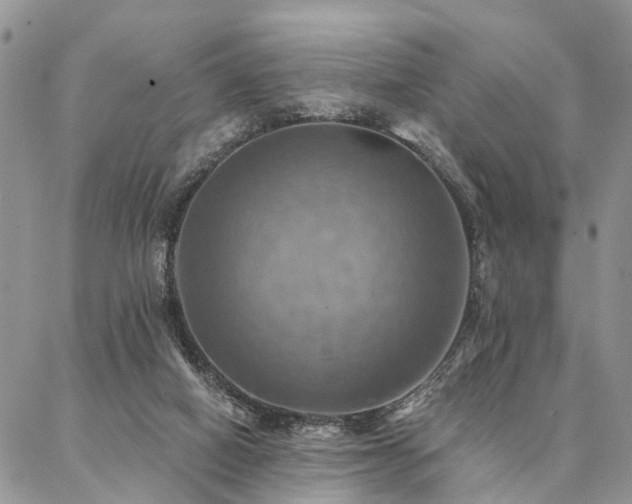 X0000087350066200704201132