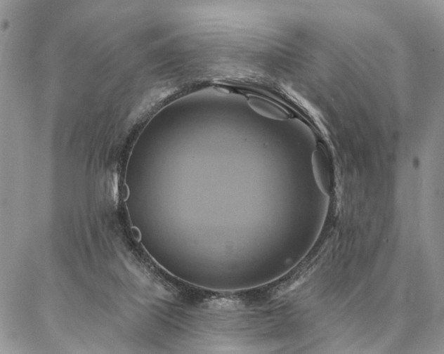 X0000087350067200704201132