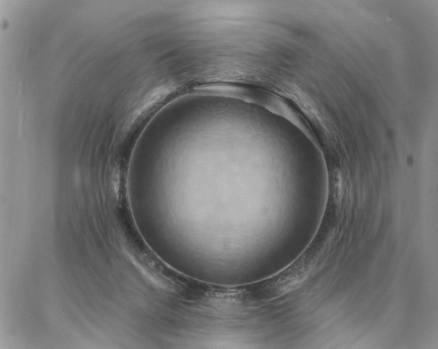 X0000087350072200704201132