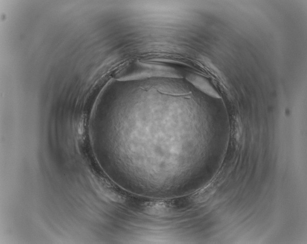 X0000087350074200704201133