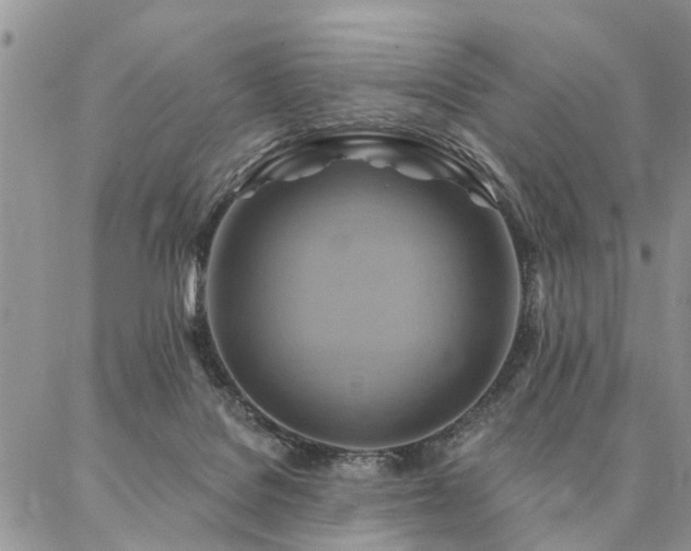 X0000087350076200704201133