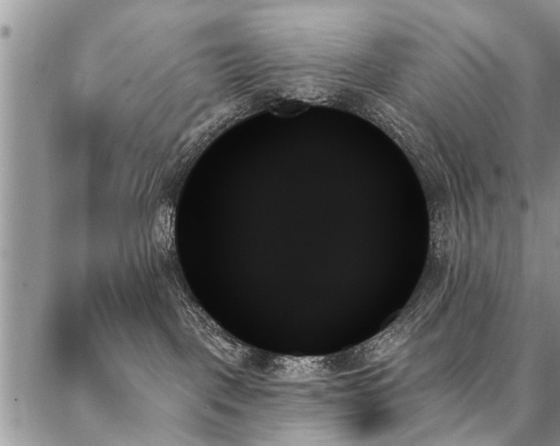 X0000087350093200704201133