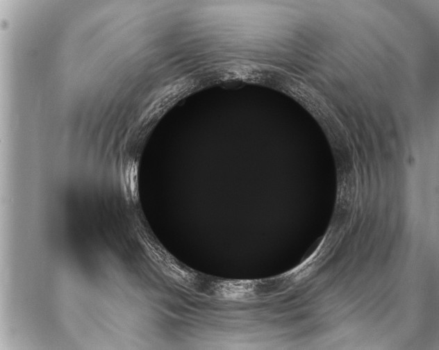 X0000087350094200704201133