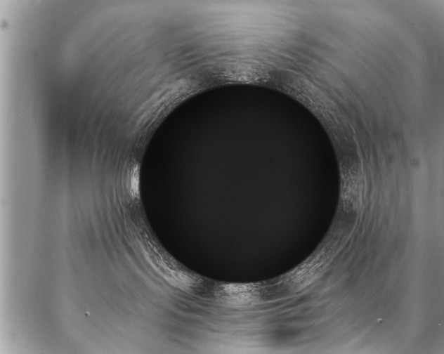 X0000087350095200704201133