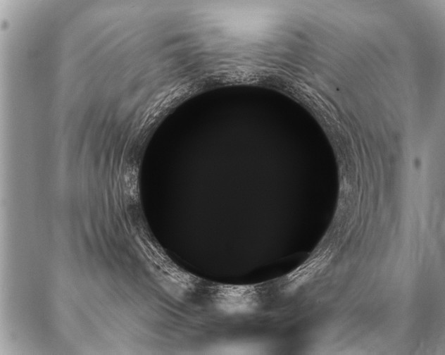 X0000087350096200704201133