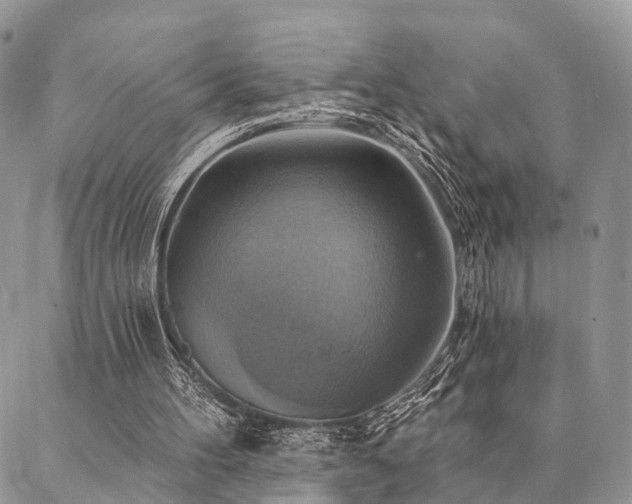 X0000087350100200704201132