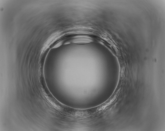 X0000087350101200704201132