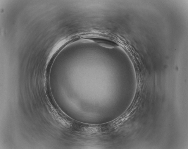 X0000087350102200704201132