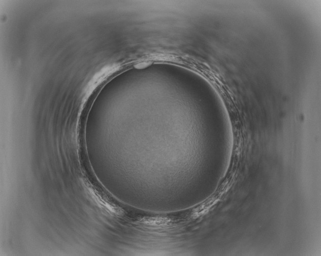 X0000087350104200704201132