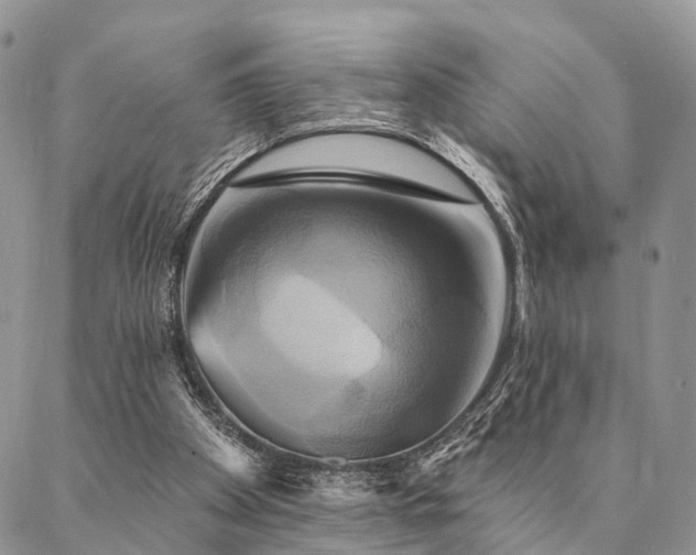 X0000087350105200704201132