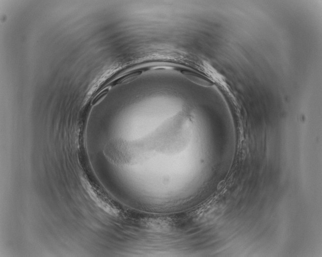X0000087350106200704201132