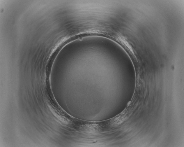 X0000087350108200704201132