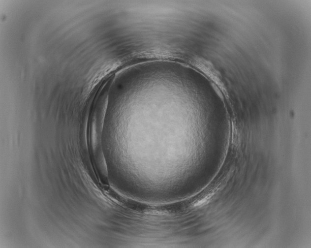 X0000087350109200704201132