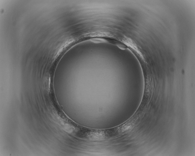 X0000087350110200704201132