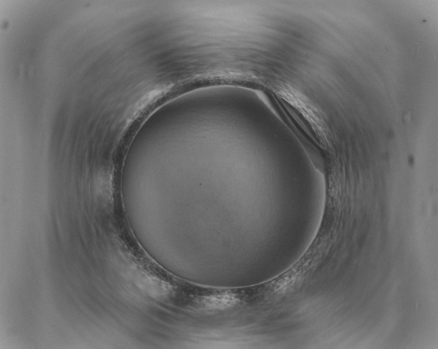 X0000087350112200704201132