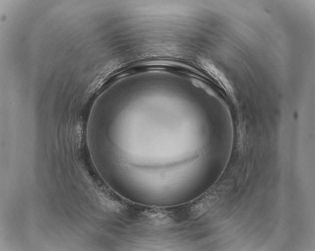 X0000087350113200704201132