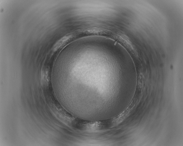 X0000087350116200704201132