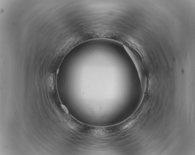 X0000087350121200704201132