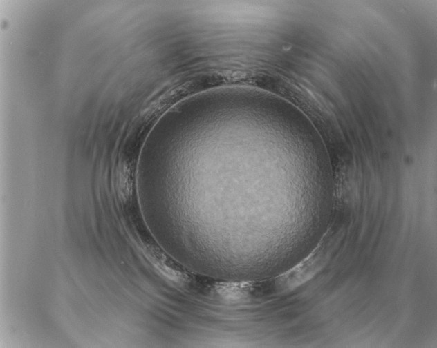 X0000087350136200704201131