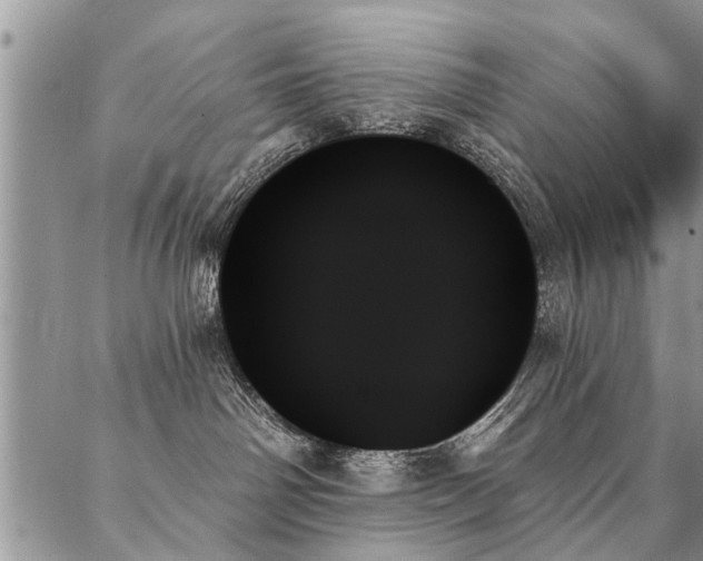 X0000087350142200704201131